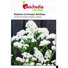 Кермек Айсберг, белый 0,1 г Садиба Центр